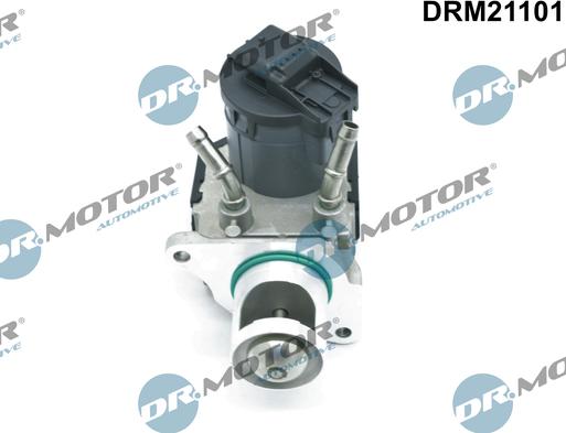 Dr.Motor Automotive DRM21101 - Клапан повернення ОГ autozip.com.ua
