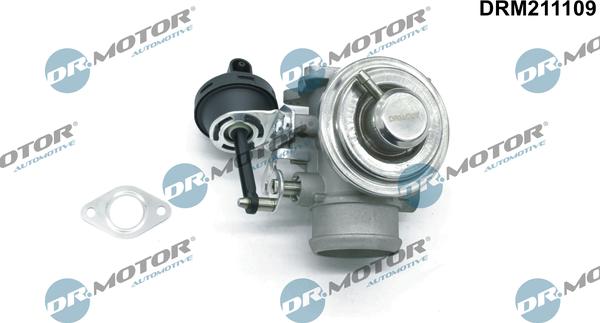 Dr.Motor Automotive DRM211109 - Клапан повернення ОГ autozip.com.ua