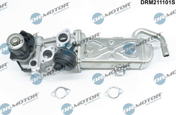 Dr.Motor Automotive DRM211101S - Клапан повернення ОГ autozip.com.ua