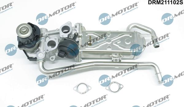 Dr.Motor Automotive DRM211102S - Клапан повернення ОГ autozip.com.ua
