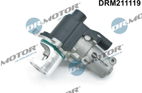 Dr.Motor Automotive DRM211119 - Клапан повернення ОГ autozip.com.ua