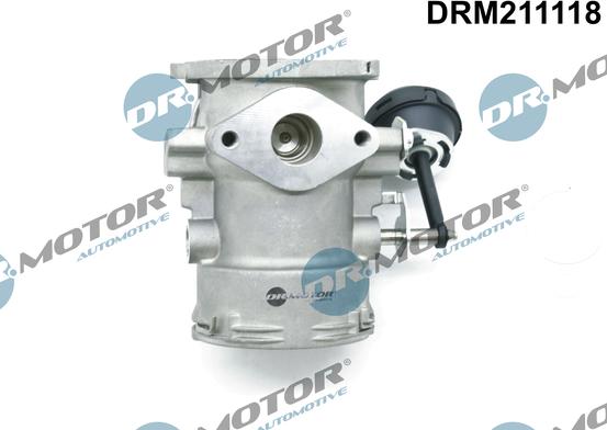 Dr.Motor Automotive DRM211118 - Клапан повернення ОГ autozip.com.ua