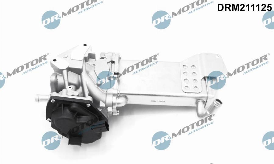 Dr.Motor Automotive DRM211125 - Клапан повернення ОГ autozip.com.ua