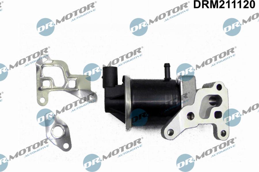 Dr.Motor Automotive DRM211120 - Клапан повернення ОГ autozip.com.ua