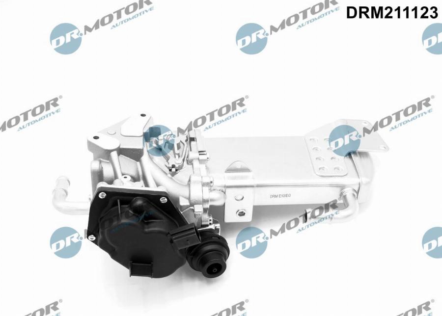 Dr.Motor Automotive DRM211123 - Клапан повернення ОГ autozip.com.ua