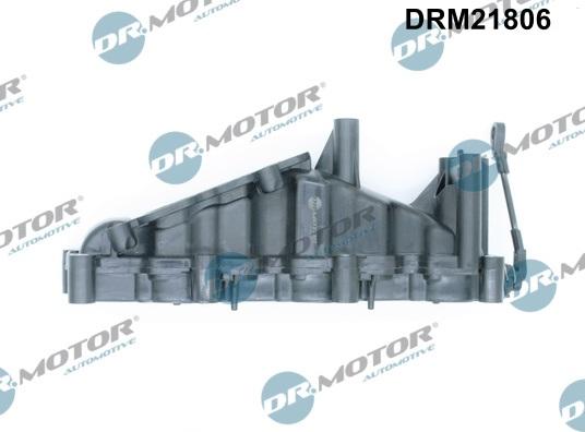 Dr.Motor Automotive DRM21806 - Модуль впускний труби autozip.com.ua