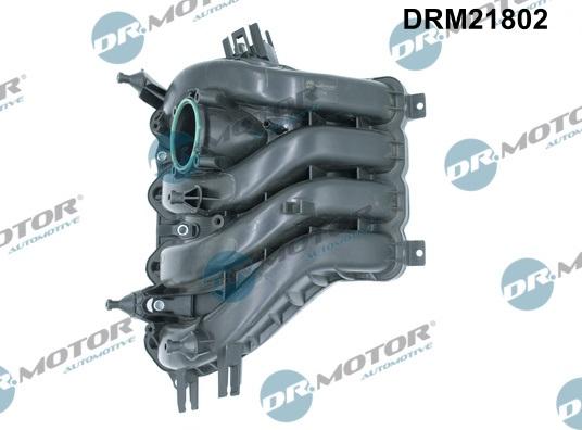 Dr.Motor Automotive DRM21802 - Модуль впускний труби autozip.com.ua