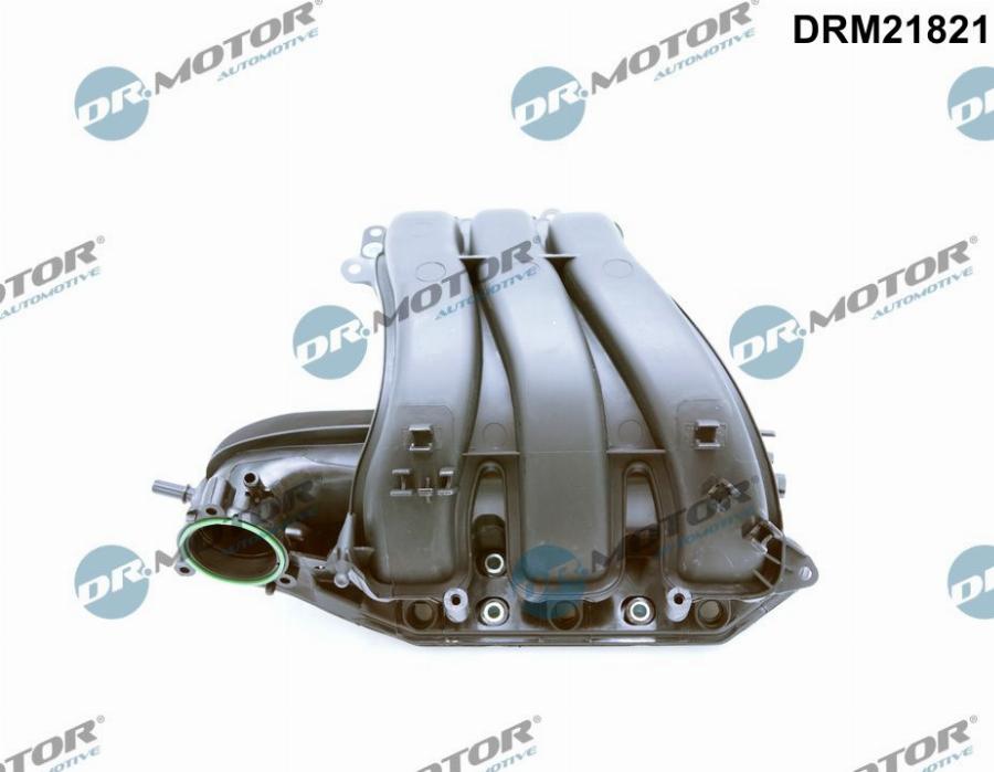 Dr.Motor Automotive DRM21821 - Модуль впускний труби autozip.com.ua
