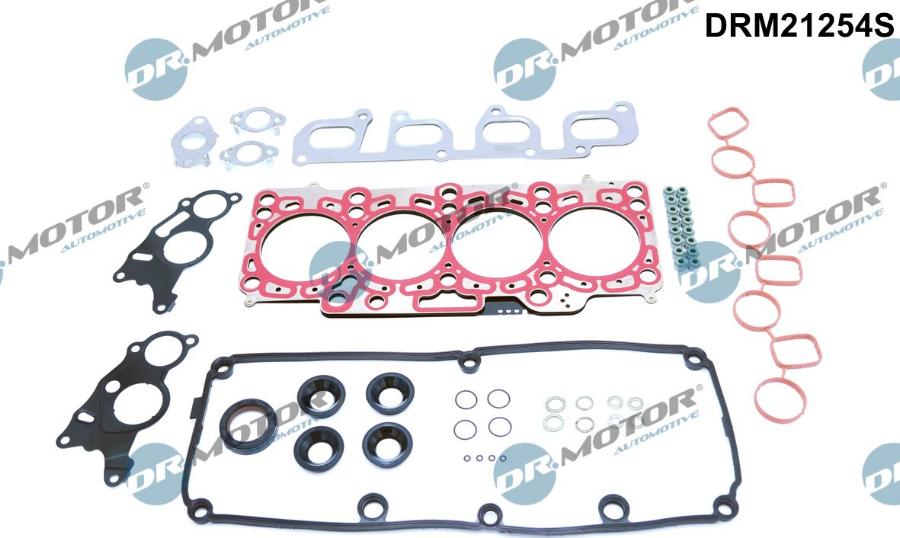 Dr.Motor Automotive DRM21254S - Комплект прокладок, двигун autozip.com.ua