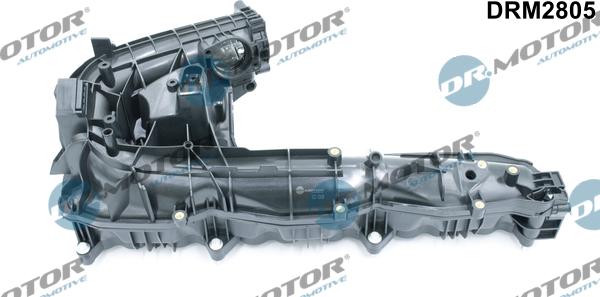 Dr.Motor Automotive DRM2805 - Модуль впускний труби autozip.com.ua