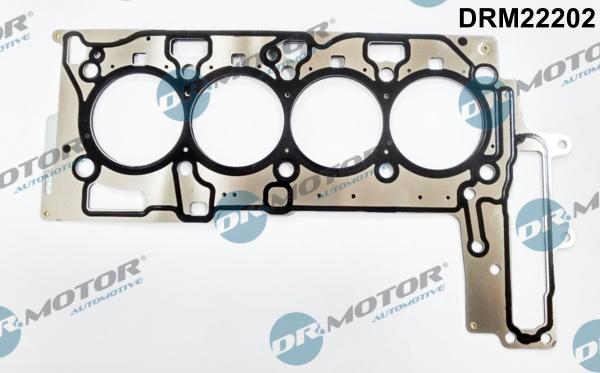 Dr.Motor Automotive DRM22202 - Прокладка, головка циліндра autozip.com.ua