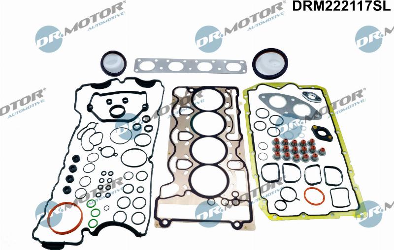 Dr.Motor Automotive DRM222117SL - Комплект прокладок, двигун autozip.com.ua