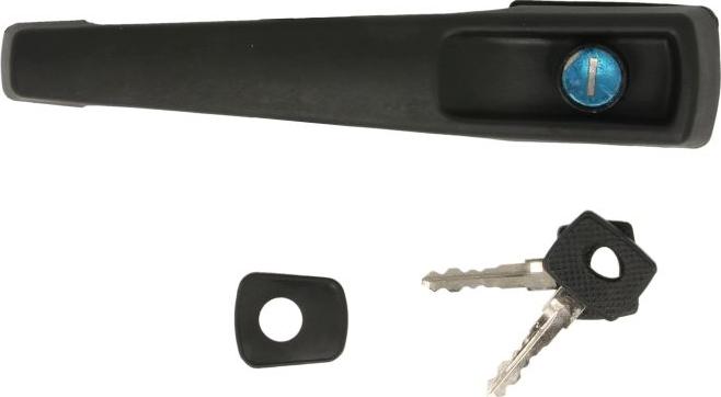 DT Spare Parts 4.60696 - Ручка двері autozip.com.ua