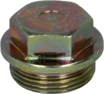 DT Spare Parts 4.30117 - Різьбова пробка autozip.com.ua