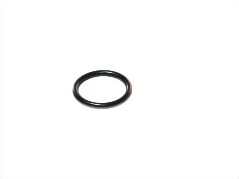 DT Spare Parts 4.20410 - Кільце ущільнювача autozip.com.ua