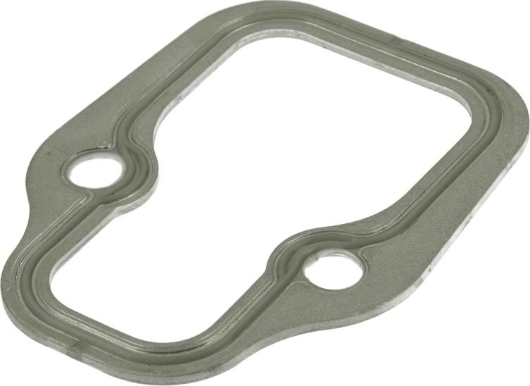 DT Spare Parts 4.20213 - Прокладка, впускний колектор autozip.com.ua