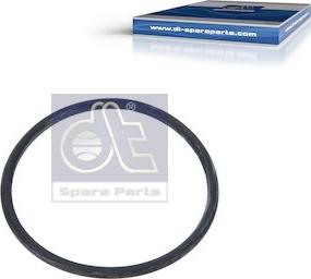 DT Spare Parts 4.20723 - Прокладка, термостат autozip.com.ua