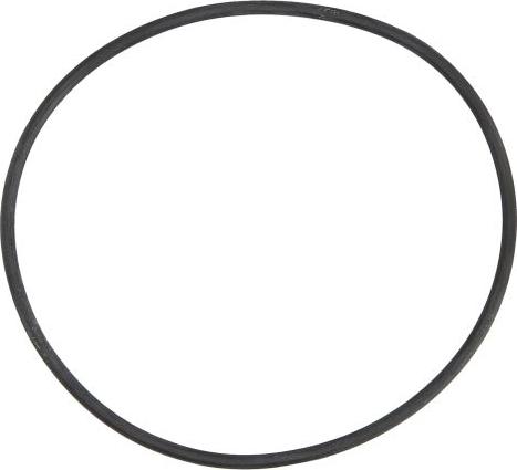 DT Spare Parts 1.10170 - Прокладка, фланець - відцентровий очищувач autozip.com.ua