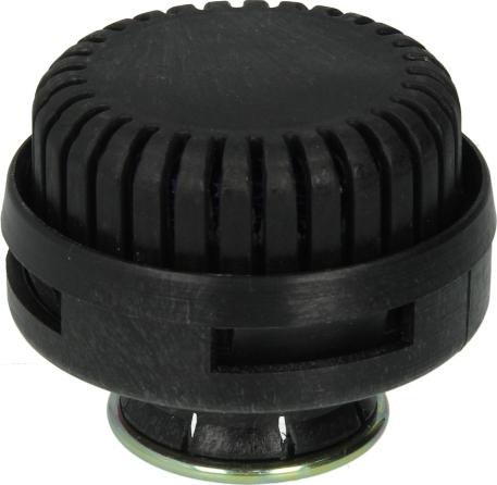 DT Spare Parts 1.18361 - Глушник шуму, пневматична система autozip.com.ua