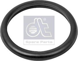 DT Spare Parts 13.42091 - Прокладка, термостат autozip.com.ua