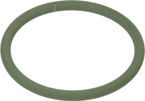 DT Spare Parts 1.24305 - Кільце ущільнювача autozip.com.ua