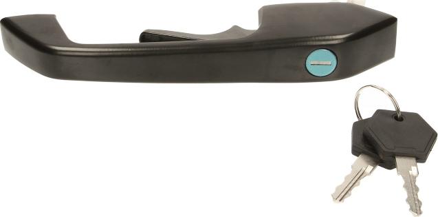 DT Spare Parts 1.22005 - Ручка двері autozip.com.ua