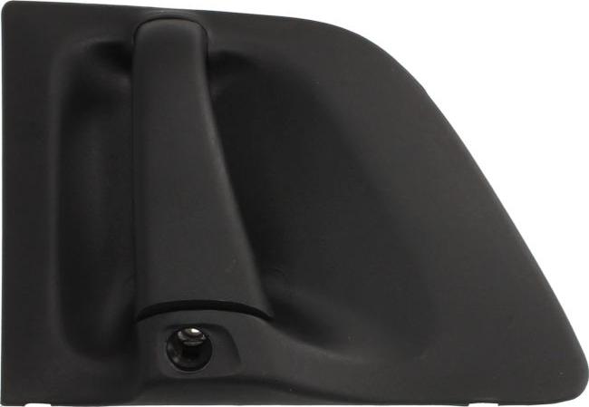 DT Spare Parts 1.22158 - Ручка двері autozip.com.ua