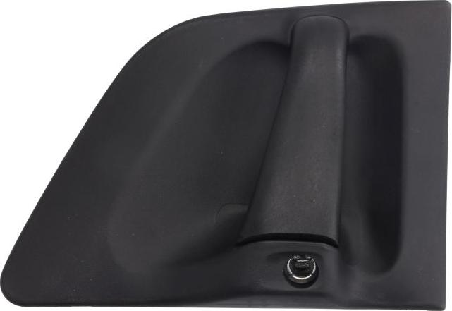 DT Spare Parts 1.22157 - Ручка двері autozip.com.ua