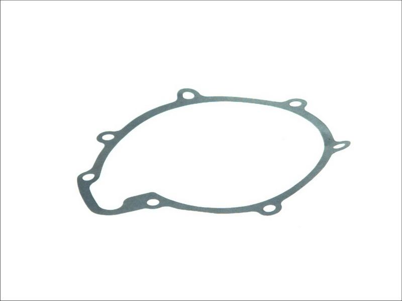 DT Spare Parts 3.16100 - Прокладка, водяний насос autozip.com.ua
