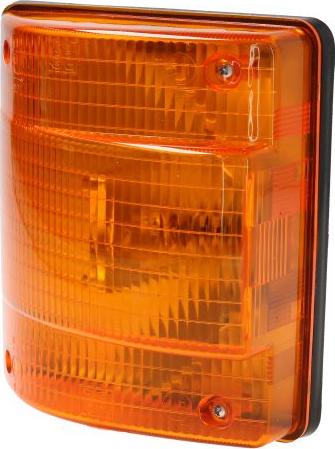 DT Spare Parts 3.31048 - Бічний ліхтар, покажчик повороту autozip.com.ua