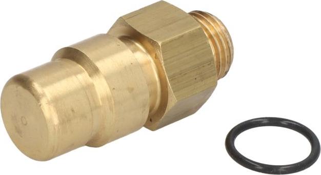 DT Spare Parts 2.44021 - Клапан управління тиском autozip.com.ua