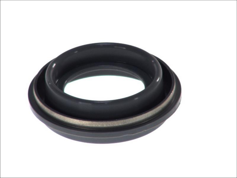 DT Spare Parts 2.40120 - Прокладка, поршень корпусу скоби тор autozip.com.ua