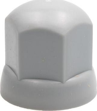 DT Spare Parts 2.65115 - Ковпачок, гайка кріплення колеса autozip.com.ua