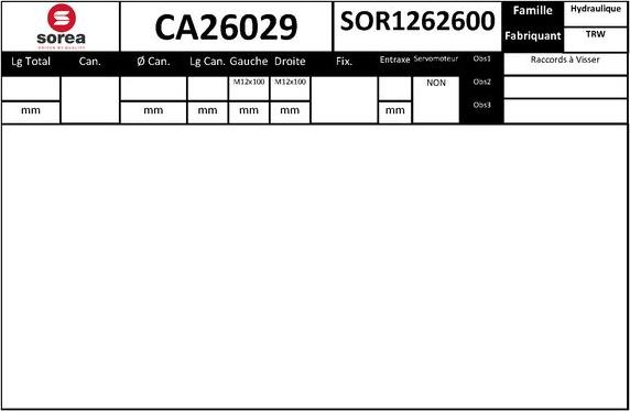 EAI CA26029 - Рульовий механізм, рейка autozip.com.ua