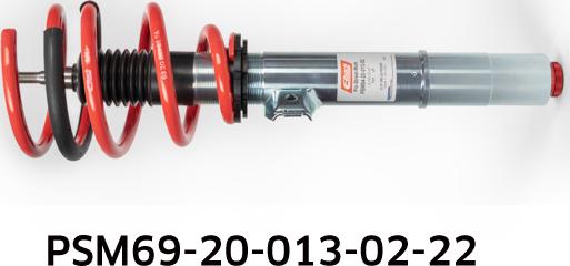 Eibach PSM69-20-013-02-22 - Комплект ходової частини, пружини / амортизатори autozip.com.ua