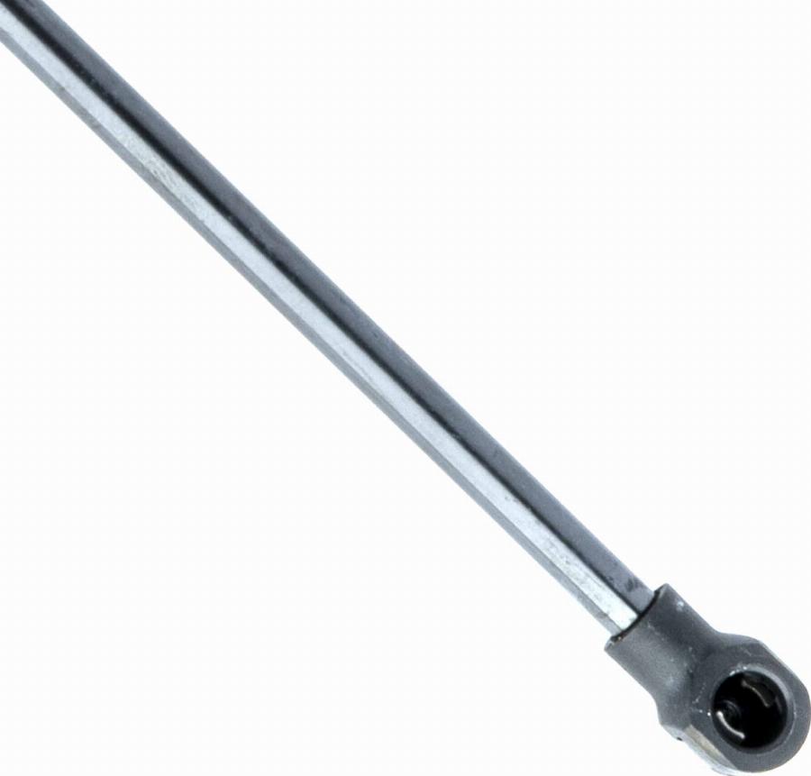 EINPARTS EP9101GS - Газова пружина, кришка багажник autozip.com.ua