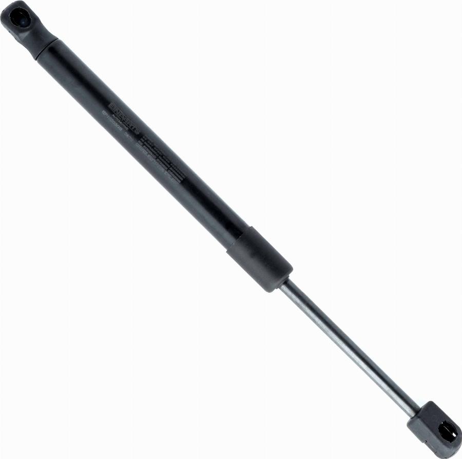 EINPARTS EP10203GS - Газова пружина, кришка багажник autozip.com.ua