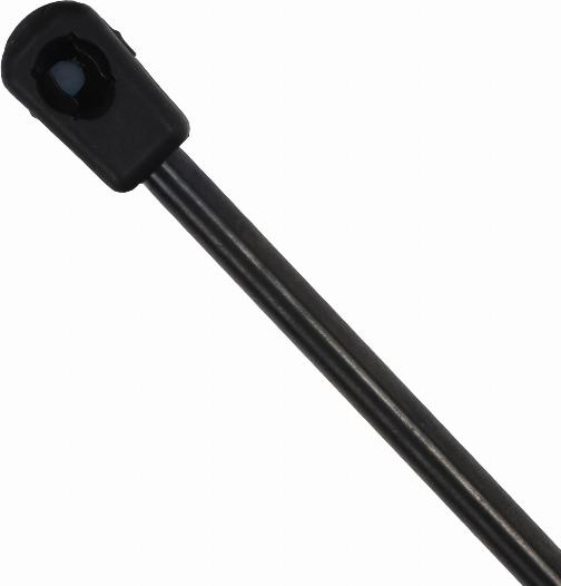 EINPARTS EP12046GS - Газова пружина, капот autozip.com.ua
