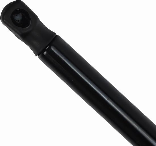 EINPARTS EP12059GS - Газова пружина, кришка багажник autozip.com.ua