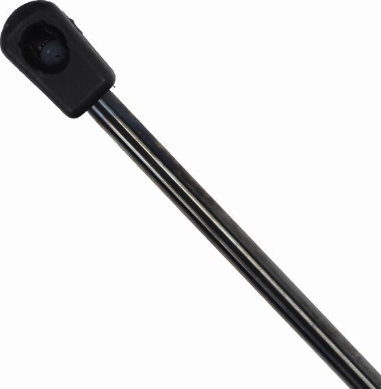 EINPARTS EP12069GS - Газова пружина, кришка багажник autozip.com.ua