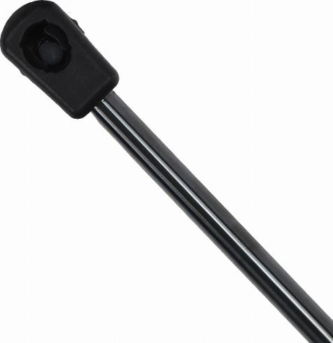 EINPARTS EP12089GS - Газова пружина, кришка багажник autozip.com.ua