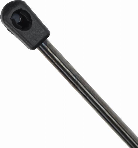 EINPARTS EP12085GS - Газова пружина, капот autozip.com.ua