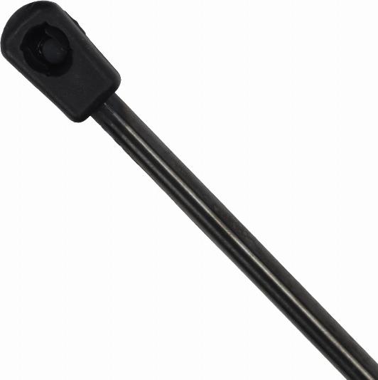 EINPARTS EP12070GS - Газова пружина, кришка багажник autozip.com.ua