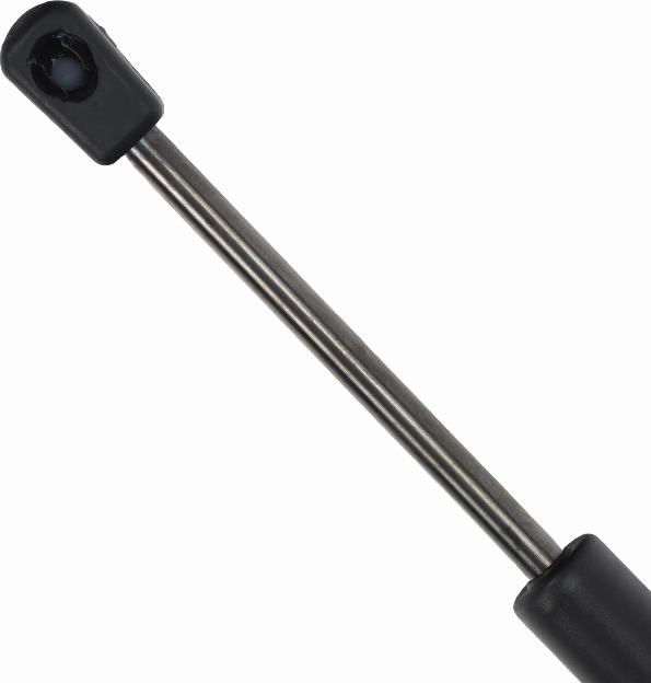 EINPARTS EP12072GS - Газова пружина, кришка багажник autozip.com.ua