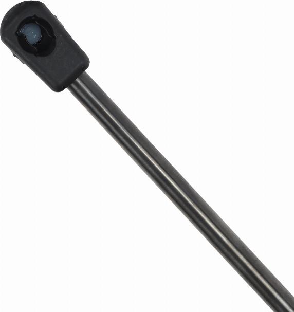 EINPARTS EP12106GS - Газова пружина, кришка багажник autozip.com.ua