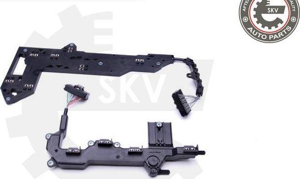 Esen SKV 96SKV065 - Комплект ремонту, фланець автомат.коробки передач autozip.com.ua