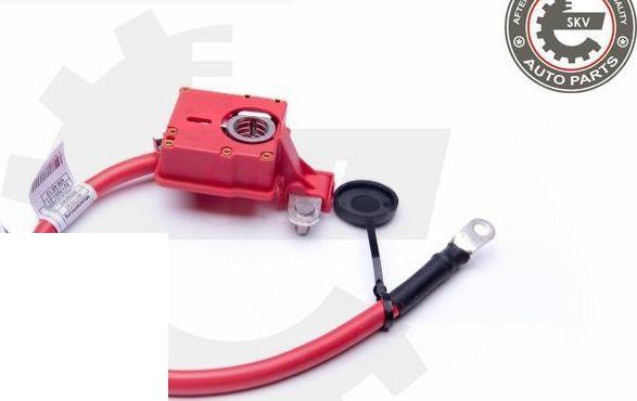 Esen SKV 96SKV302 - Адаптер акумуляторної батареї autozip.com.ua