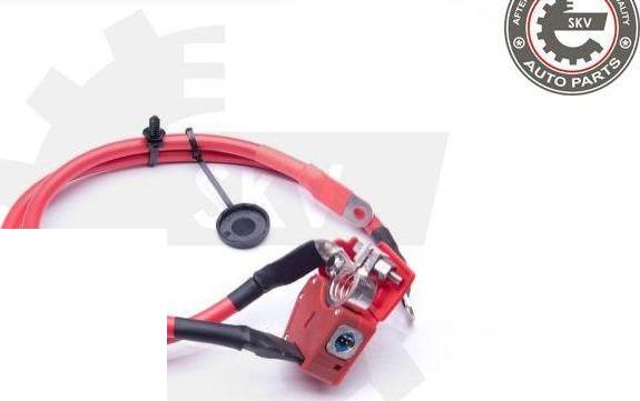 Esen SKV 96SKV307 - Адаптер акумуляторної батареї autozip.com.ua