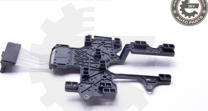 Esen SKV 96SKV208 - Блок управління, автоматична коробка передач autozip.com.ua