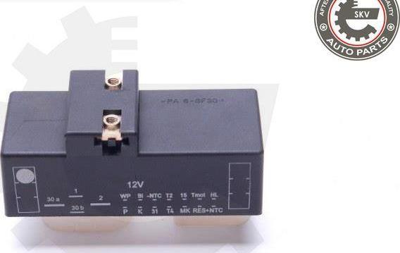 Esen SKV 96SKV203 - Блок управління, ел. вентилятор (охолодження двигуна) autozip.com.ua